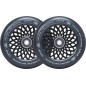 Roues Root Industries Lotus 110 Noir (x2)