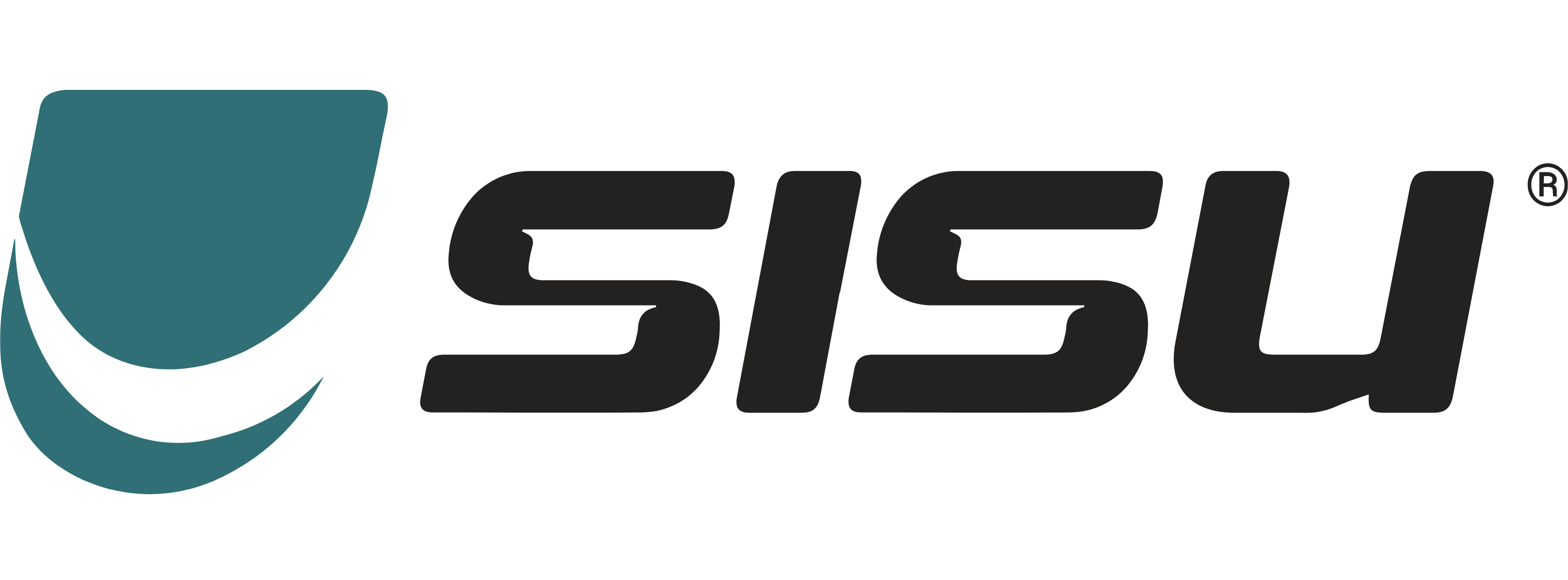Sisu Mouthguard